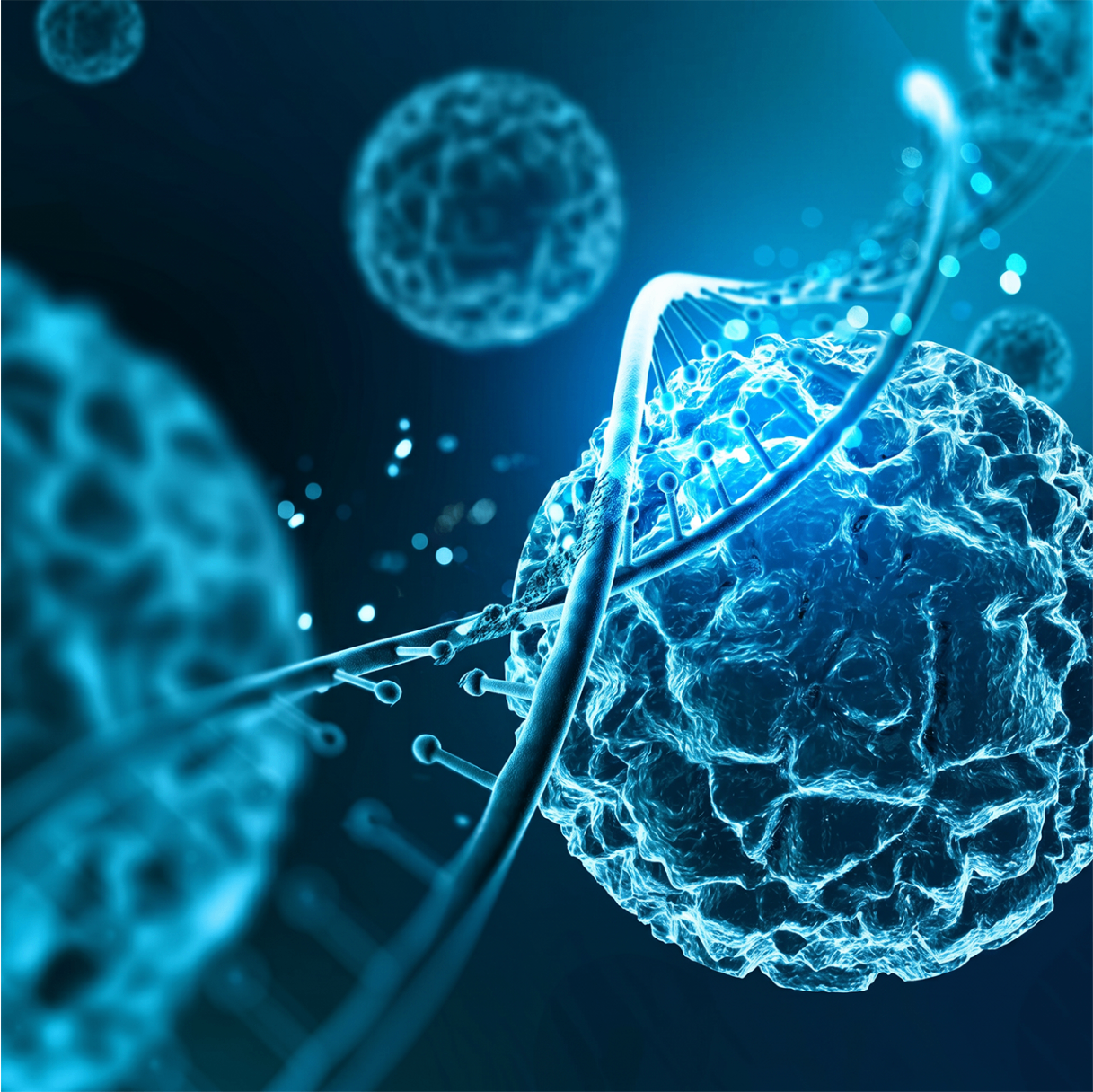 Hormone Optimization